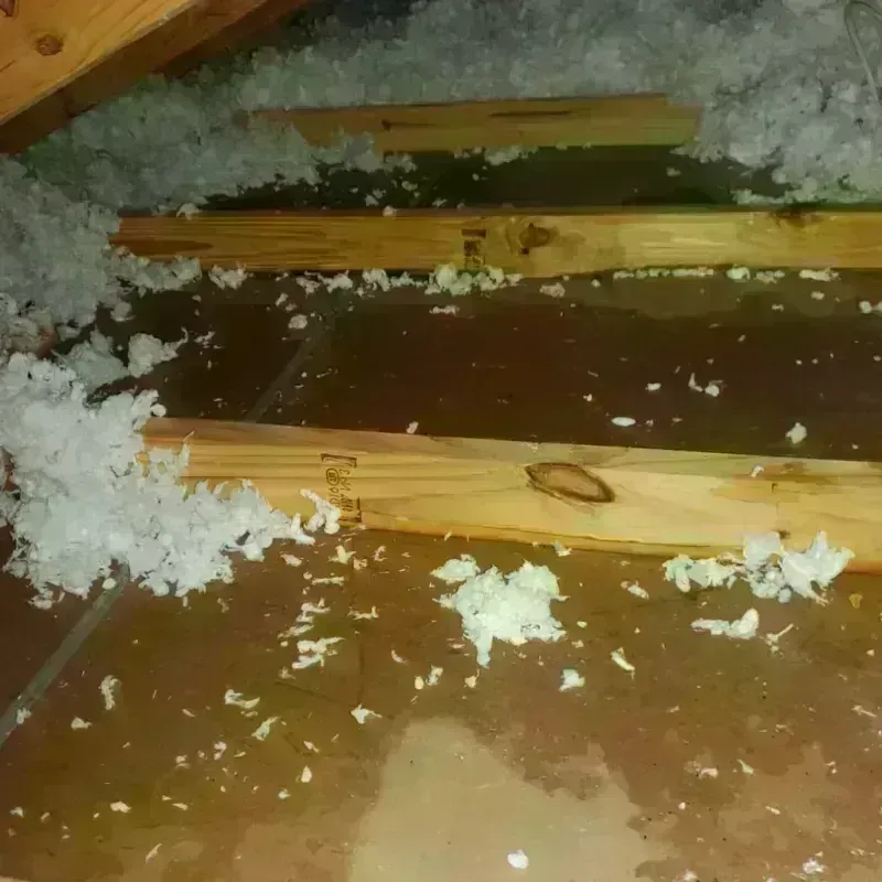 Attic Water Damage in Cotton County, OK