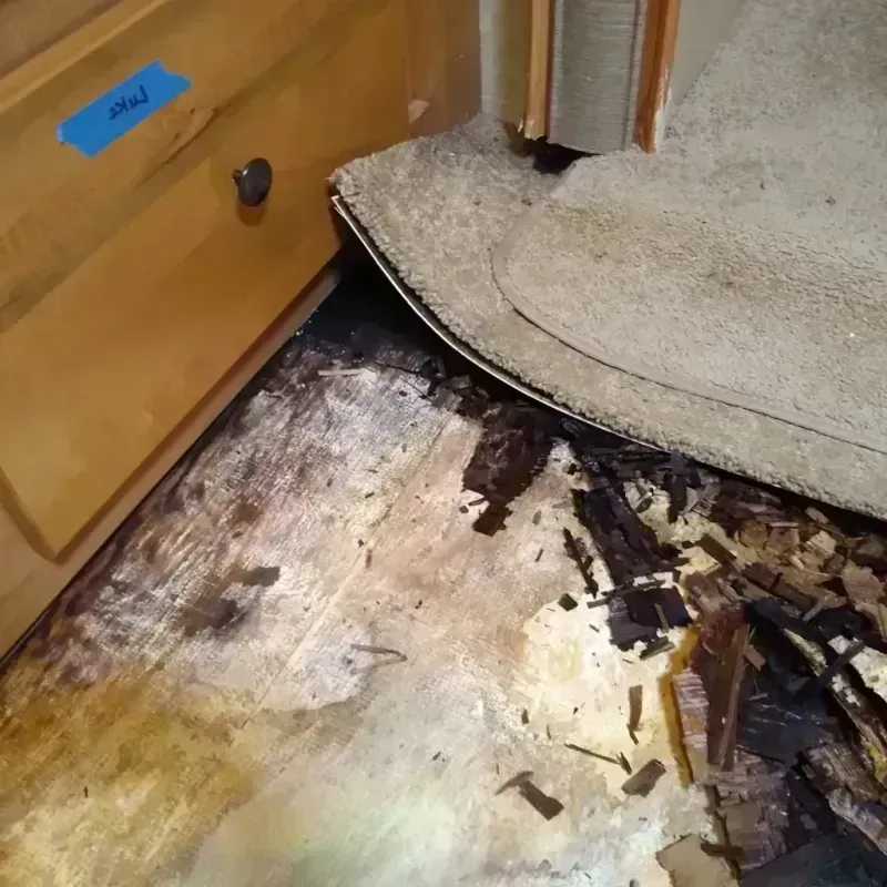 Wood Floor Water Damage in Cotton County, OK